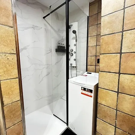 Amueblado En El Centro De Apartamento *