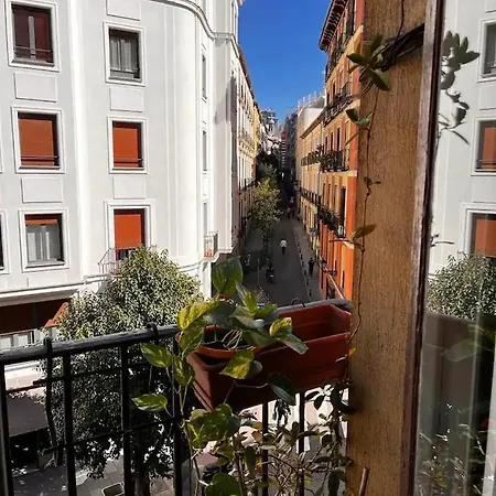 La Casa De La Escritora Casa de hóspedes Madri