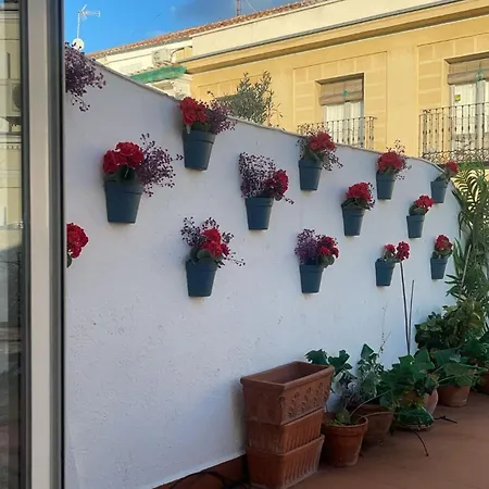 Romantic Terrace *