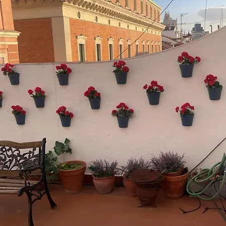 Romantic Terrace *