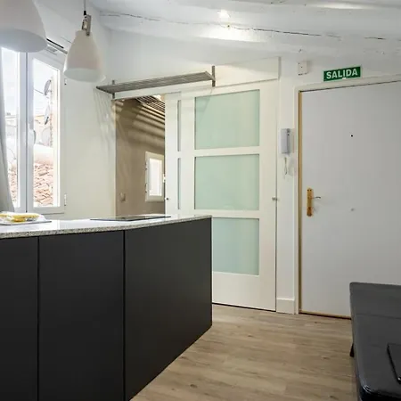 1 Bedroom 1 Bathroom Furnished - Sol - Bright Penthouse - Mintystay Apartment Madrid