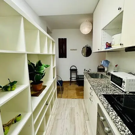 In Downtown Apartment *