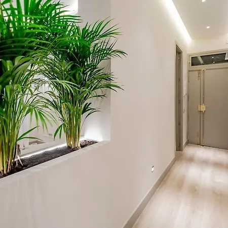 Apartment Vip Malasana 6 Pax