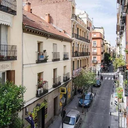 Pelayo, 8