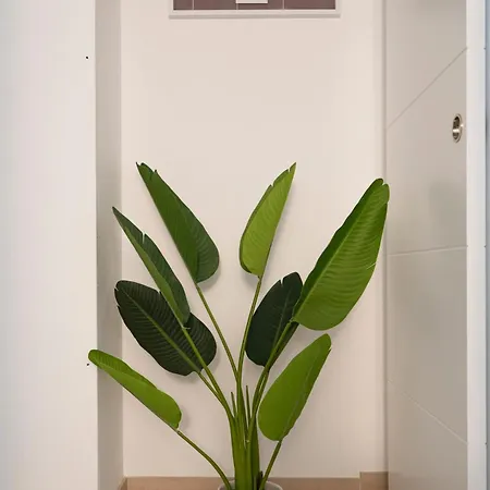 Apartamento Oshun Mirasierra Madrid