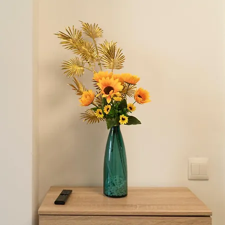 Apartamento Oshun Mirasierra Madrid