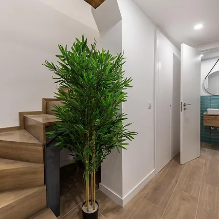 Galileo Coco Apartment