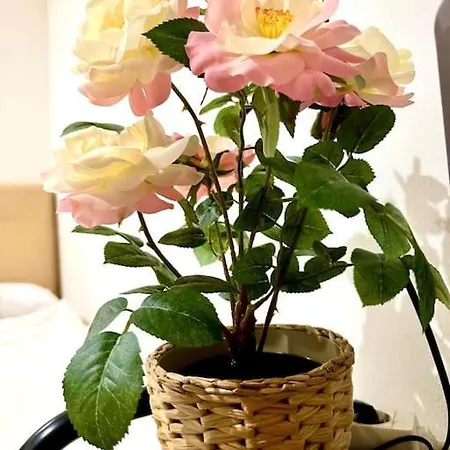 Apartamento 1 Acogedora