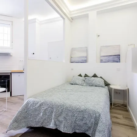 Apartment Nuevo Loft Privado Marques Vadillo Madridrio Parque Comillas I