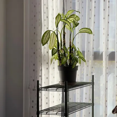 Apartamento Luminoso En El Centro De