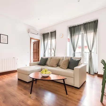Preciosos En El Centro De Apartment Madrid