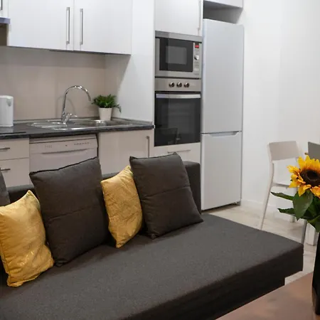 Oshun Plaza Castilla Apartment