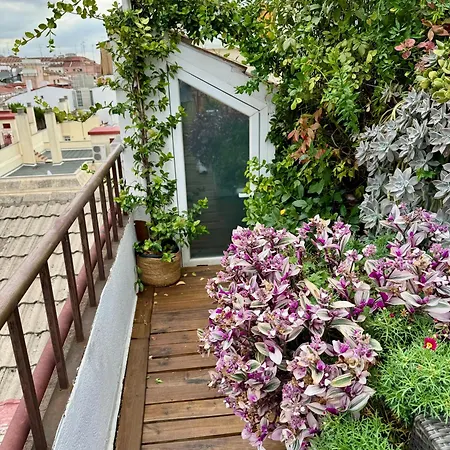 Excellent Penthouse In The Center Apartment *
