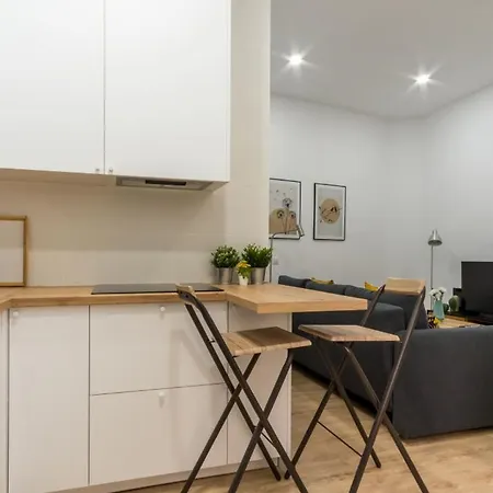 Apartment Stylish Apartment- 1 Bedroom 1 Bathroom -chueca Madrid