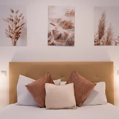 Apartment Oshun Plaza Castilla