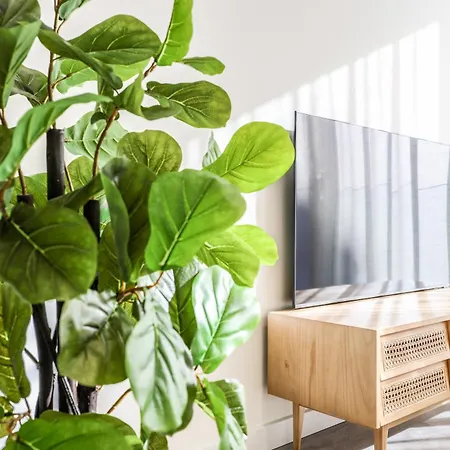 Atyco Apartment *