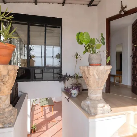 Tejado De Antigua Fabrica Industrial En Acacias Apartment *