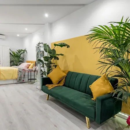 Casa Sana Corazon - Barrio Salamanca Apartamento Madrid