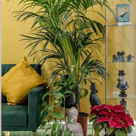Casa Sana Corazon - Barrio Salamanca Apartamento