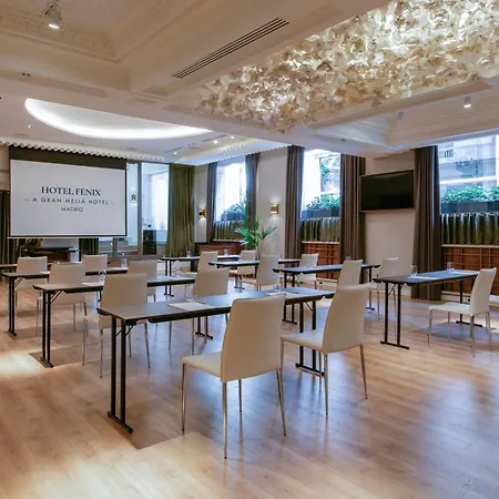 Fenix Gran Melia - The Leading Of The World 5* Madrid