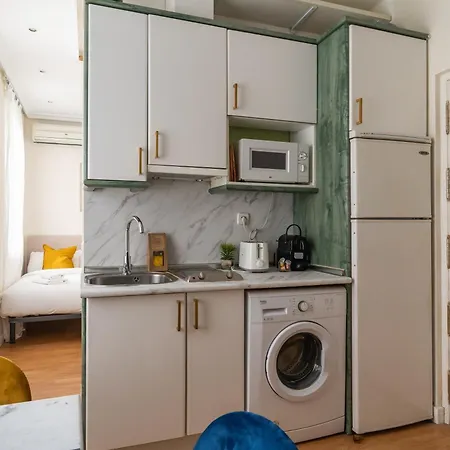 Cozy Aparrtament-1bedroom 1bathroom-malasana Apartment