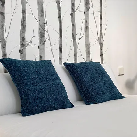 Apartment Charming Urban La Latina Madrid