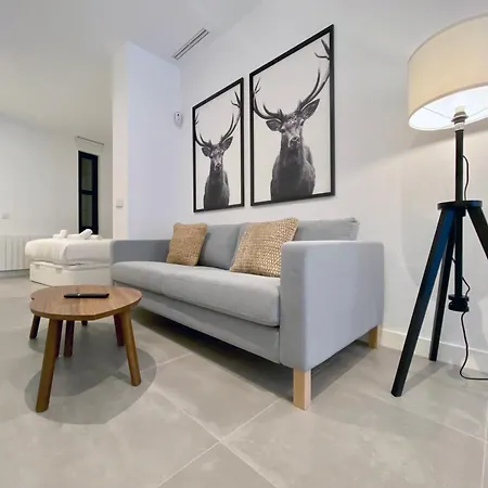 Apartment Charming Urban La Latina Madrid