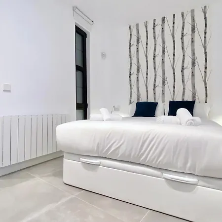 Charming Urban La Latina Apartment Madrid