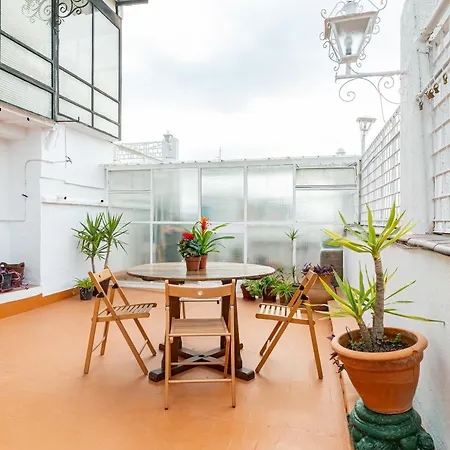 Tejado De Antigua Fabrica Industrial En Acacias Apartment Madrid