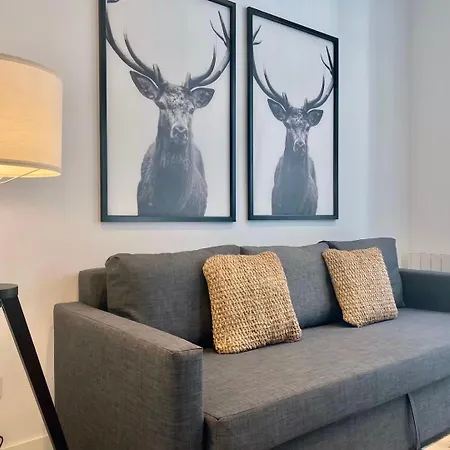 Apartment Charming Urban La Latina Madrid
