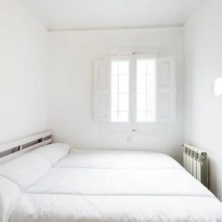 Atico Duplex Loft Lavapies Madrid