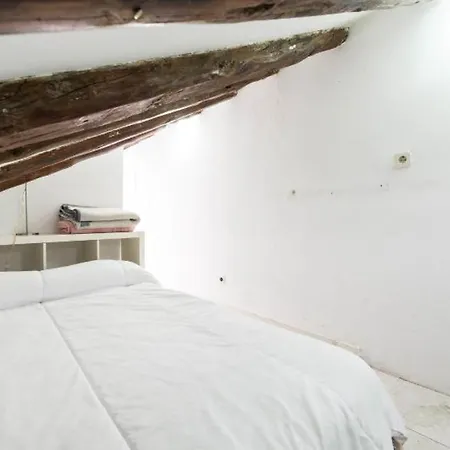 Atico Duplex Loft Lavapies *
