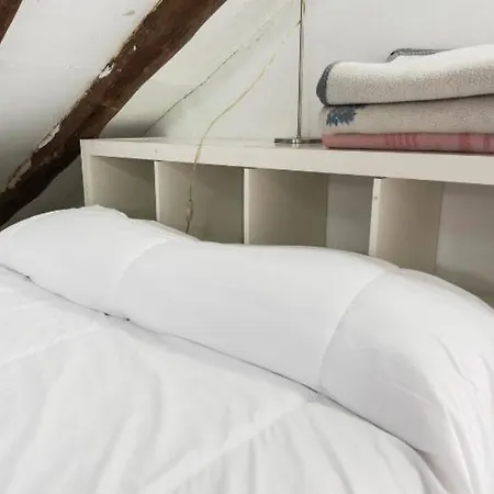 Apartamento Atico Duplex Loft Lavapies Madrid