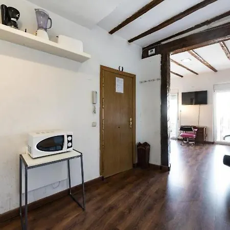 Atico Duplex Loft Lavapies Apartamento Madrid