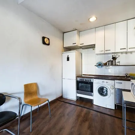 Apartamento Atico Duplex Loft Lavapies Madrid