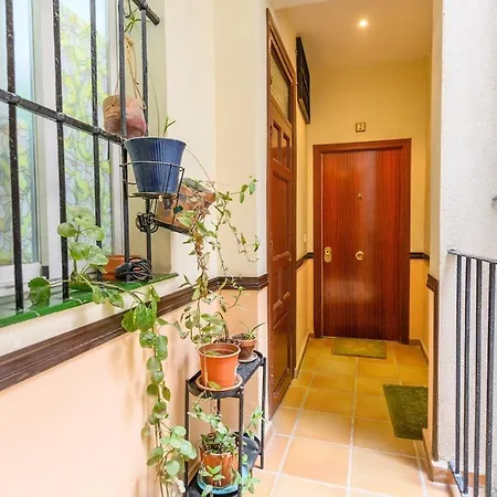 Temporal 1 Bedroom Flat A Few Metres From The Centre Ama2721