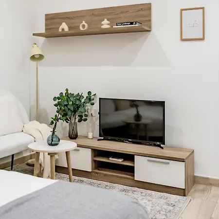 Apartment Cozy In Lavapies Madrid