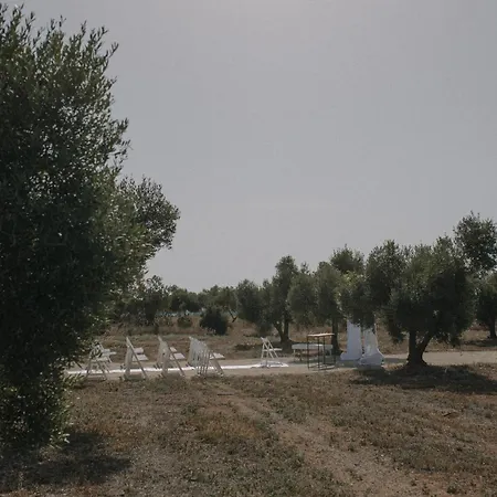 La Concertista * Llorenc del Penedes