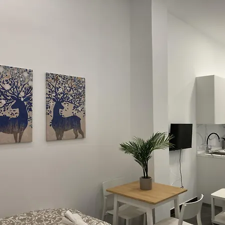 Ensanche Apartment Madrid