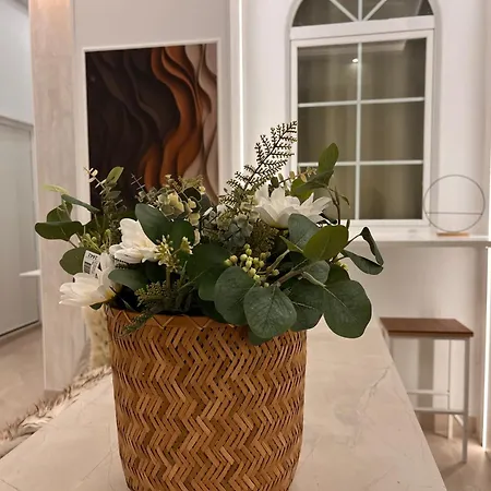 Apartamento E6 Delux Plaza Mayor Madrid