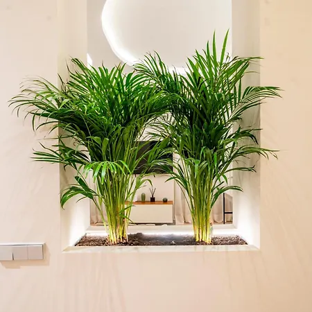 Apartment Vip Malasana 6 Pax Madrid
