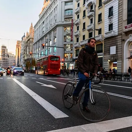 Larga Noviciado Centro