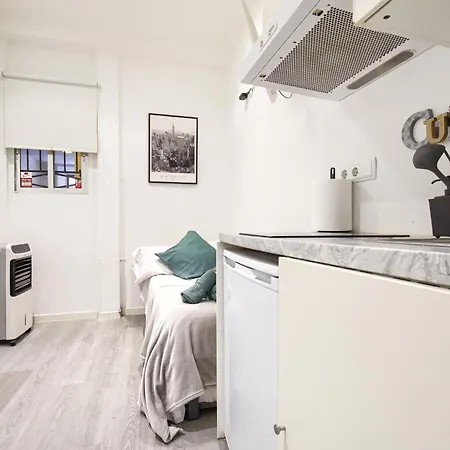 Petit Estudio En , Centro, 2 Pax, Wi-fi & Tv Apartment
