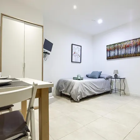 Apartment Coqueto Estudio En Madrid, Centro, 2 Pax, Wifi & Tv Madrid
