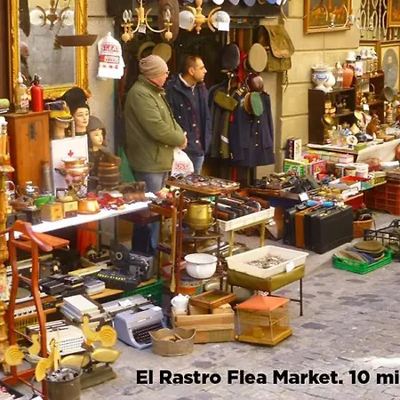 Estudio Loft En El Centro De Reformado En Enero 2024 Madrid
