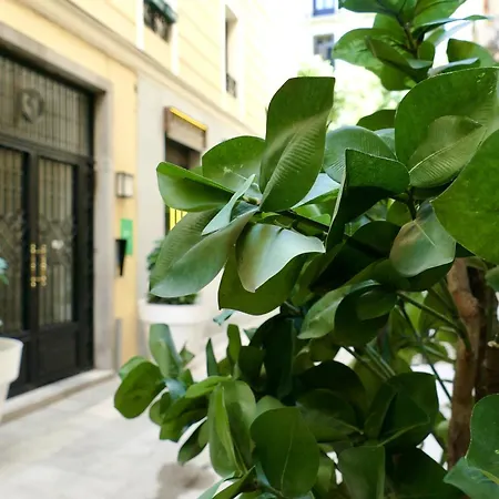 Blume Conde Aranda Madrid