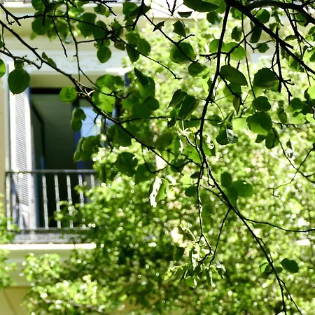 Blume Conde Aranda Apartment