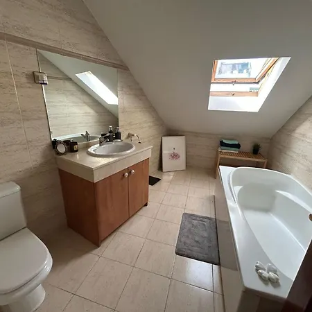 Spacious And Bright Penthouse With Terrace *