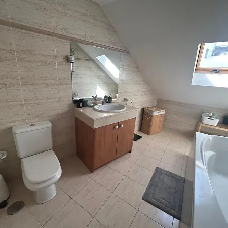 Apartment Spacious And Bright Penthouse With Terrace