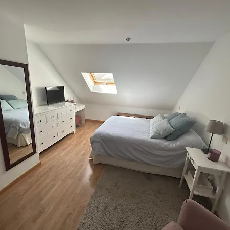 Apartment Spacious And Bright Penthouse With Terrace *